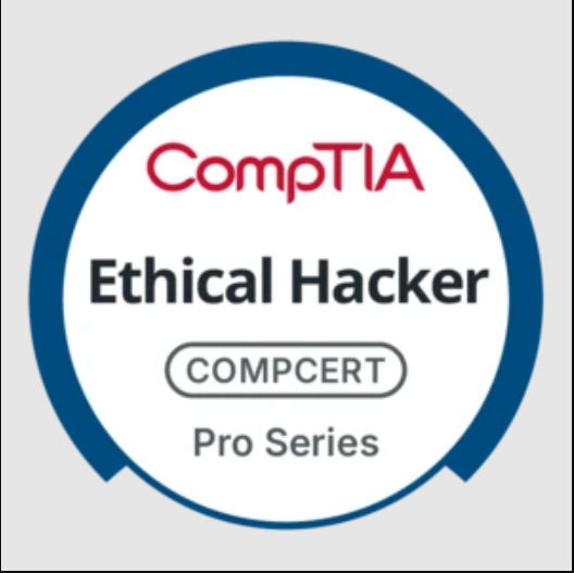 TestOut Ethical Hacker Pro - 個人